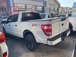 فۆرد F-150